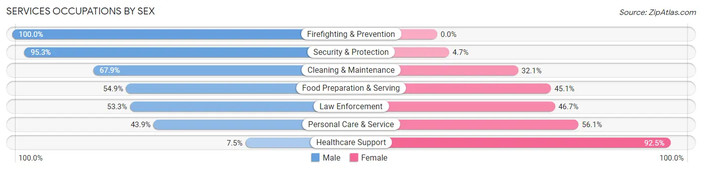 Services Occupations by Sex in Zip Code 80203