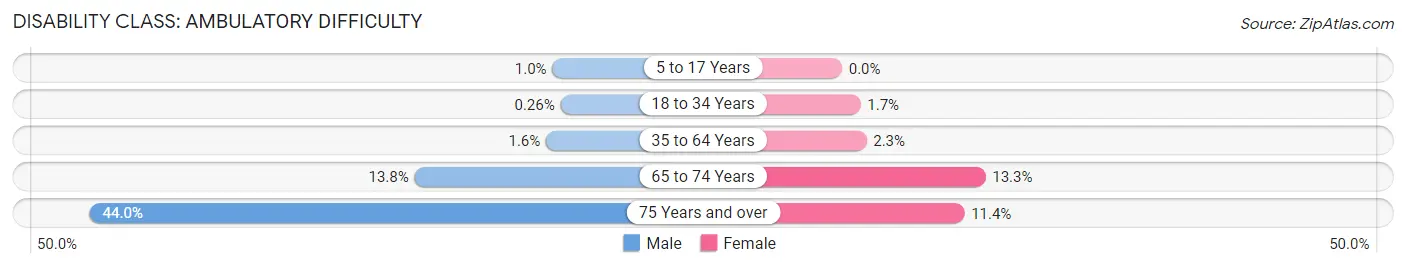 Disability in Zip Code 80241: <span>Ambulatory Difficulty</span>