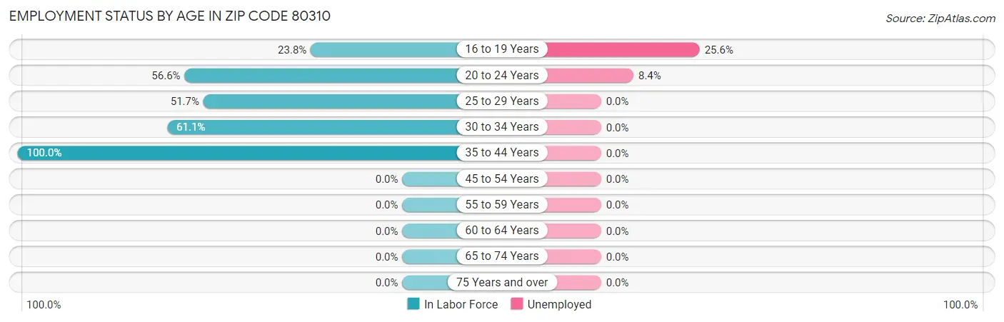 Employment Status by Age in Zip Code 80310