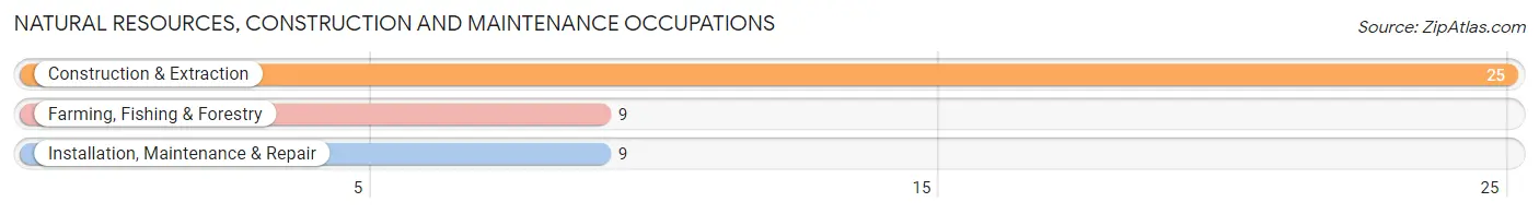 Natural Resources, Construction and Maintenance Occupations in Zip Code 80428