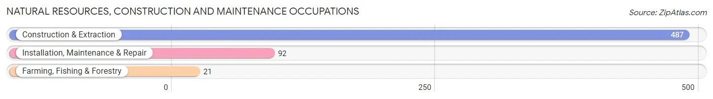 Natural Resources, Construction and Maintenance Occupations in Zip Code 80435