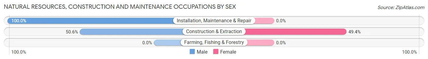 Natural Resources, Construction and Maintenance Occupations by Sex in Zip Code 80443