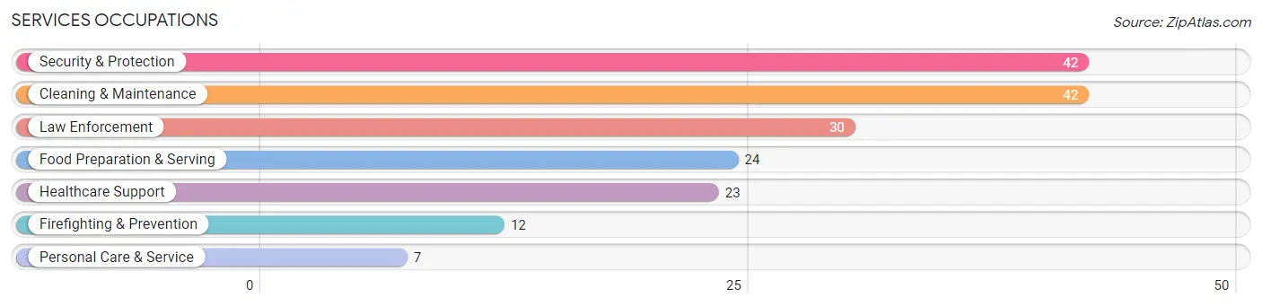 Services Occupations in Zip Code 80451