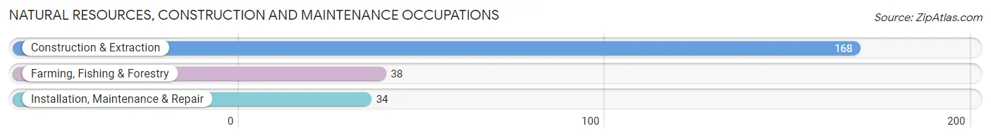 Natural Resources, Construction and Maintenance Occupations in Zip Code 80467