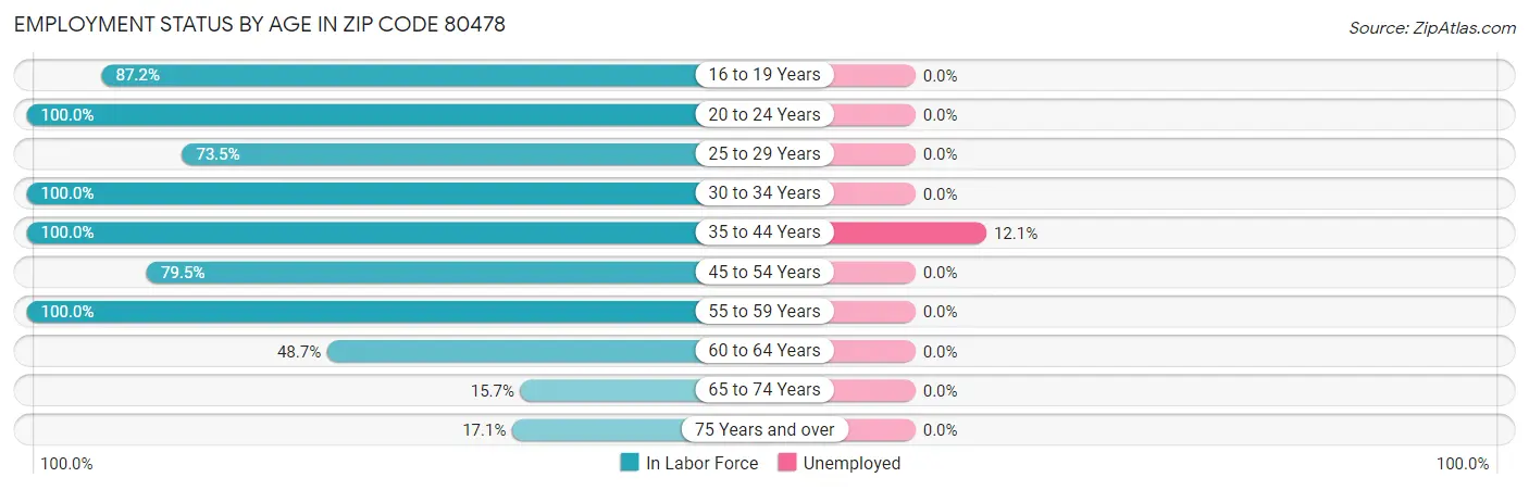 Employment Status by Age in Zip Code 80478