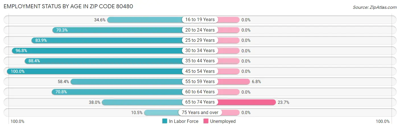 Employment Status by Age in Zip Code 80480