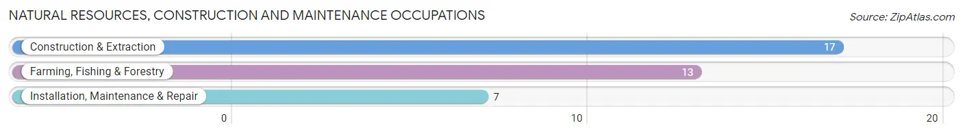 Natural Resources, Construction and Maintenance Occupations in Zip Code 80483