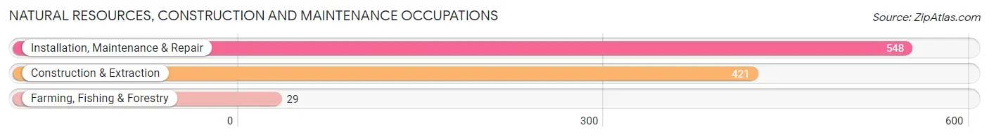 Natural Resources, Construction and Maintenance Occupations in Zip Code 80503