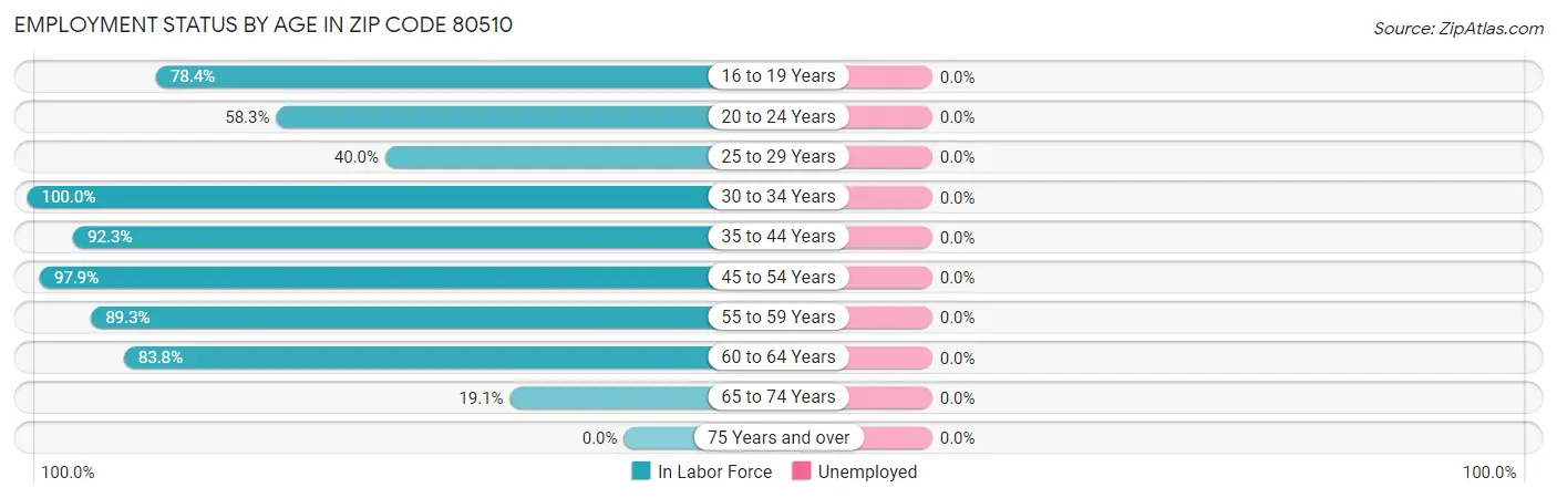 Employment Status by Age in Zip Code 80510