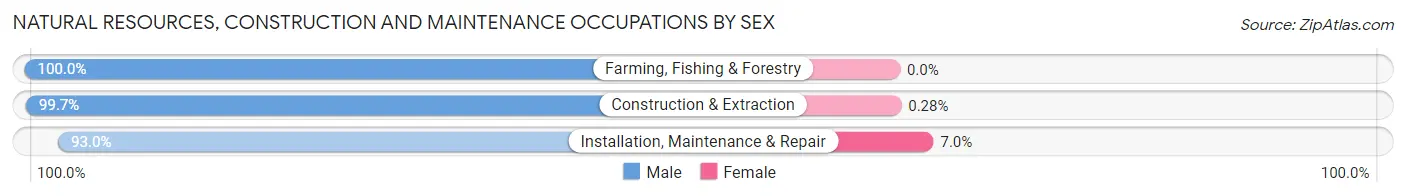 Natural Resources, Construction and Maintenance Occupations by Sex in Zip Code 80537