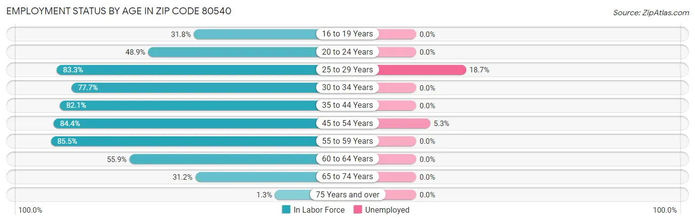 Employment Status by Age in Zip Code 80540