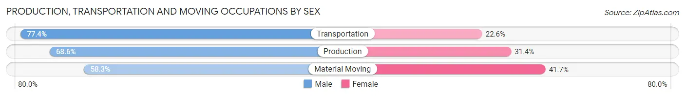 Production, Transportation and Moving Occupations by Sex in Zip Code 80602