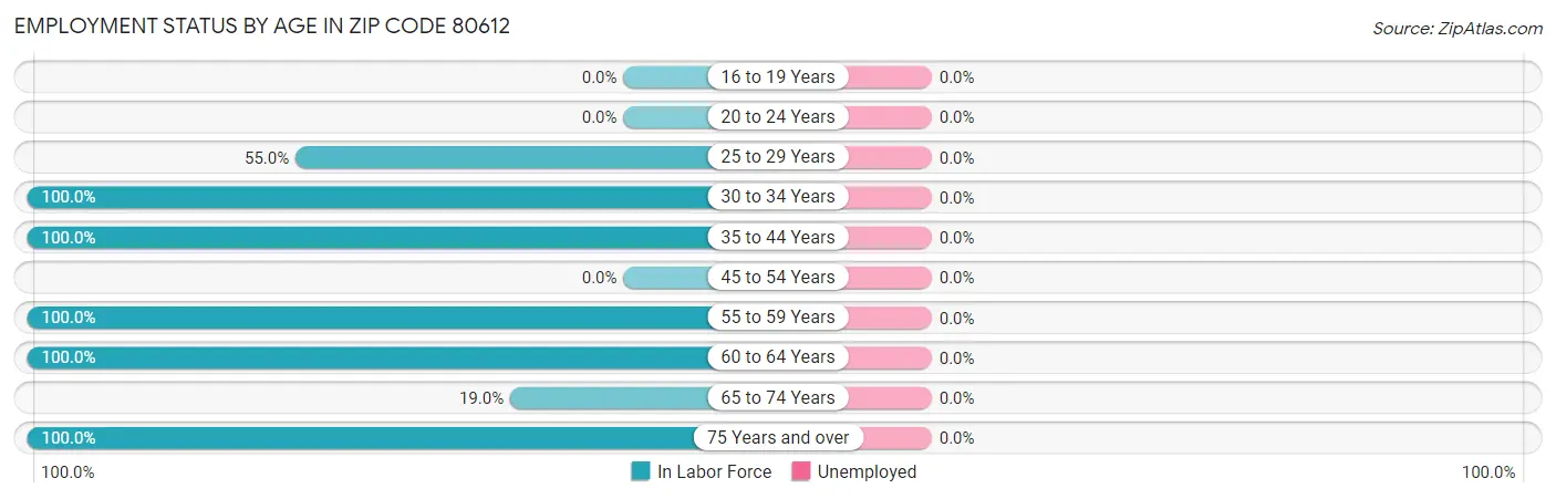 Employment Status by Age in Zip Code 80612