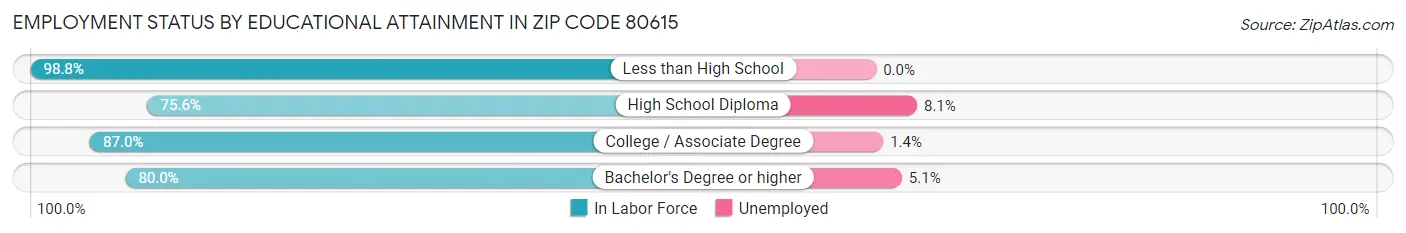 Employment Status by Educational Attainment in Zip Code 80615