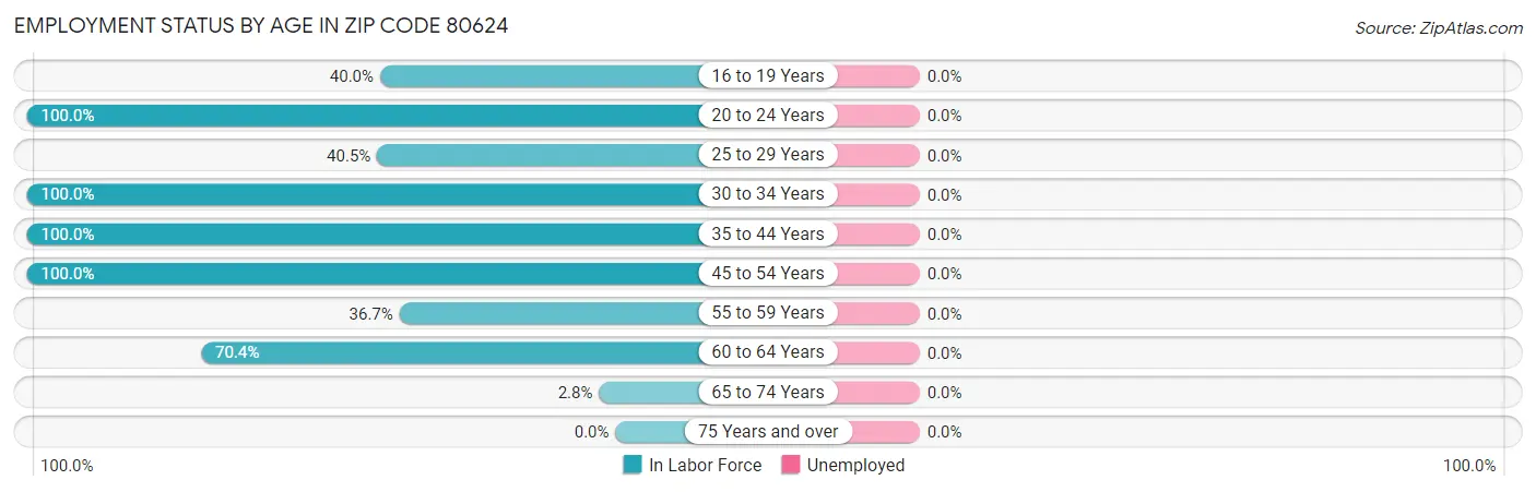 Employment Status by Age in Zip Code 80624