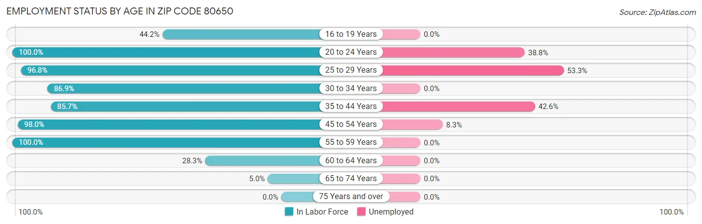 Employment Status by Age in Zip Code 80650
