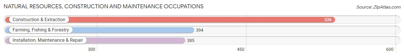 Natural Resources, Construction and Maintenance Occupations in Zip Code 80701