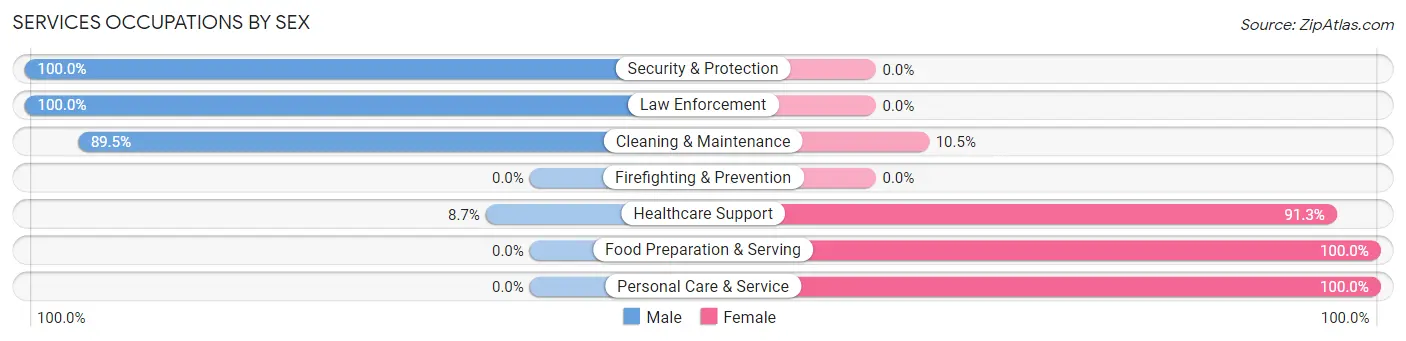 Services Occupations by Sex in Zip Code 80728
