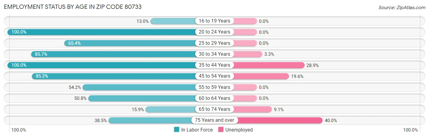 Employment Status by Age in Zip Code 80733