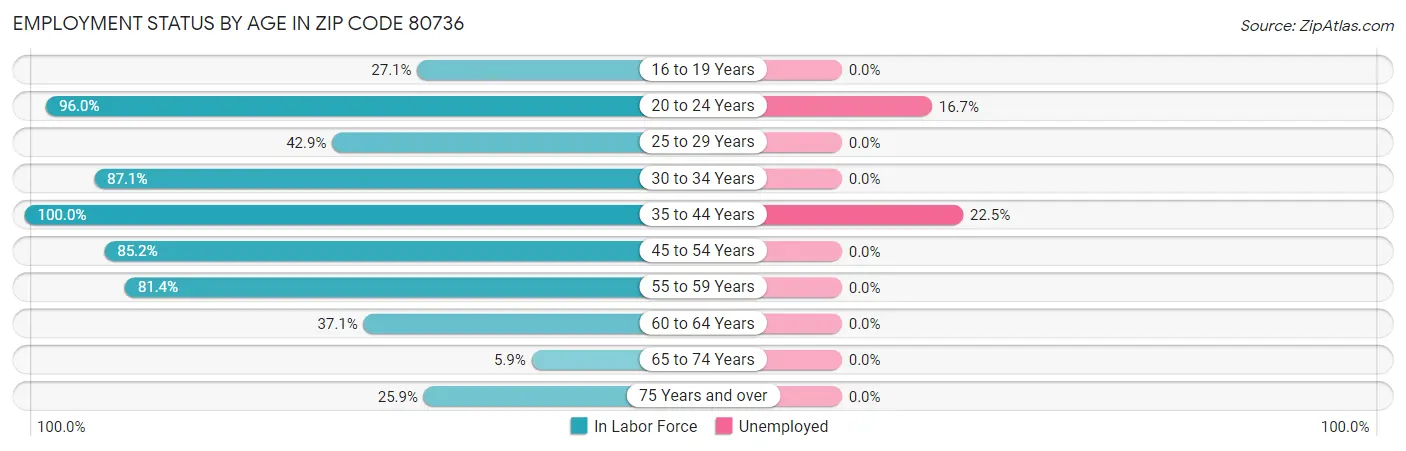 Employment Status by Age in Zip Code 80736