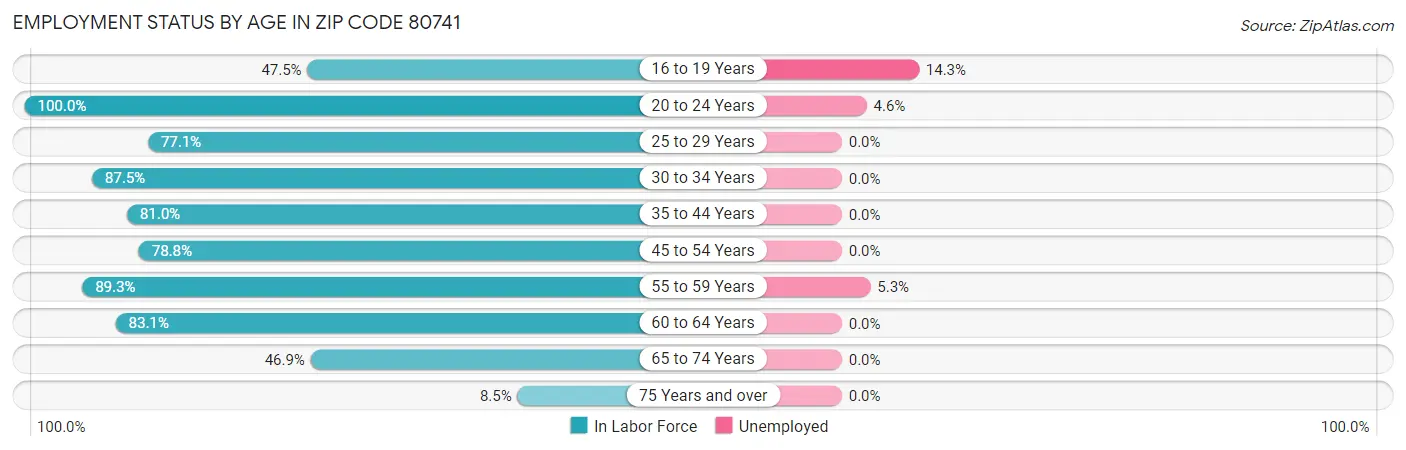Employment Status by Age in Zip Code 80741