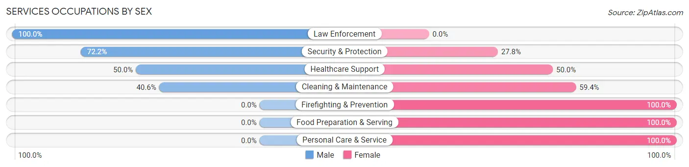 Services Occupations by Sex in Zip Code 80741