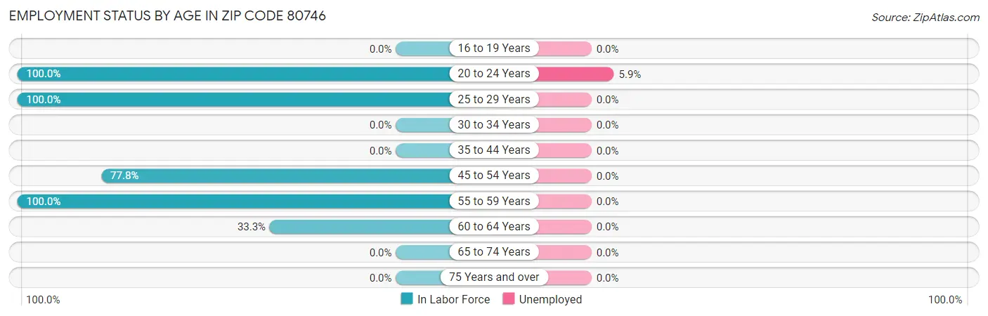 Employment Status by Age in Zip Code 80746