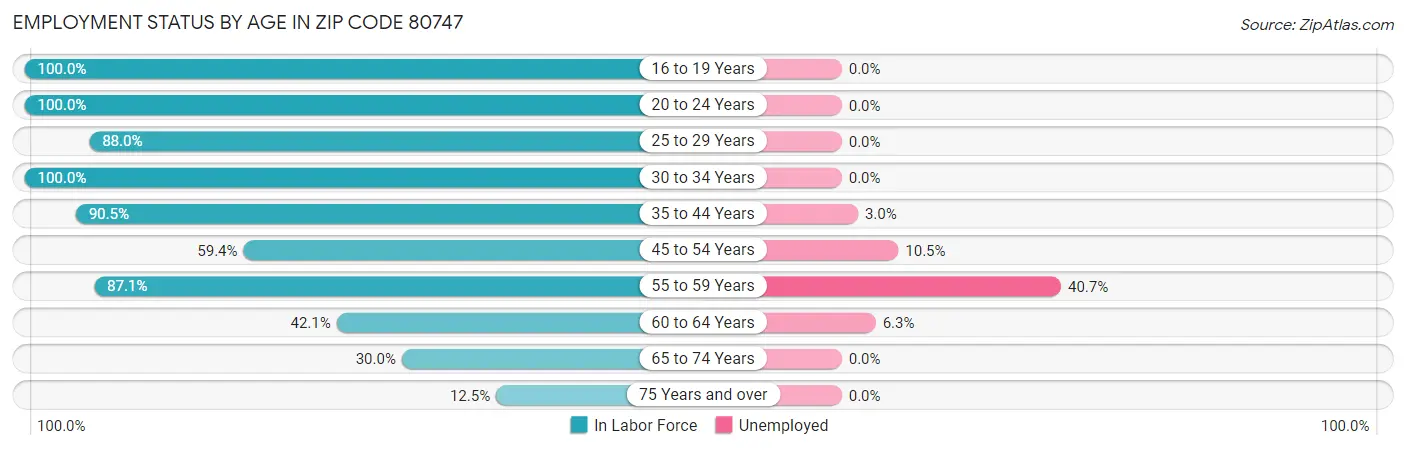 Employment Status by Age in Zip Code 80747