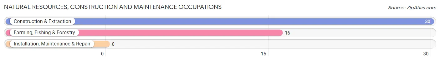 Natural Resources, Construction and Maintenance Occupations in Zip Code 80802