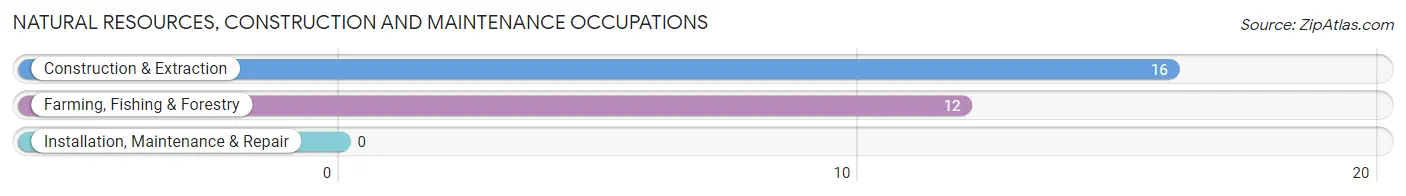 Natural Resources, Construction and Maintenance Occupations in Zip Code 80812