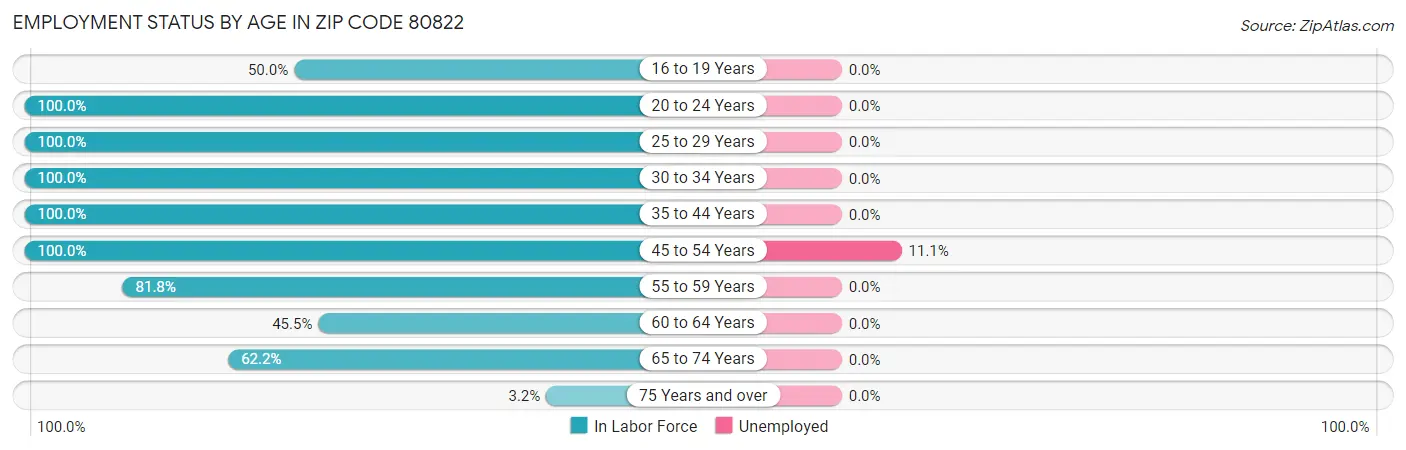 Employment Status by Age in Zip Code 80822