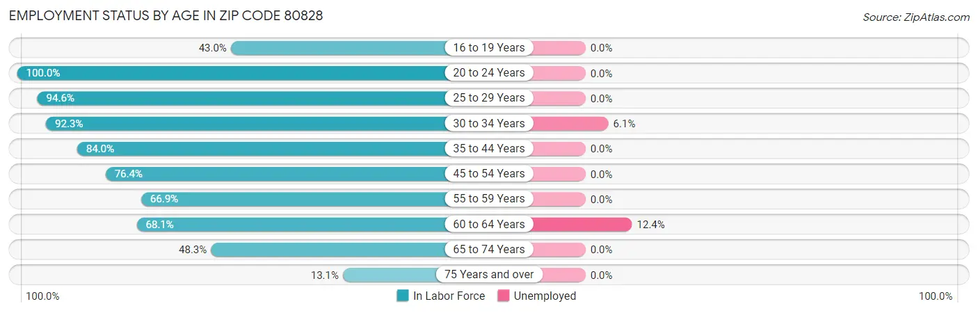 Employment Status by Age in Zip Code 80828