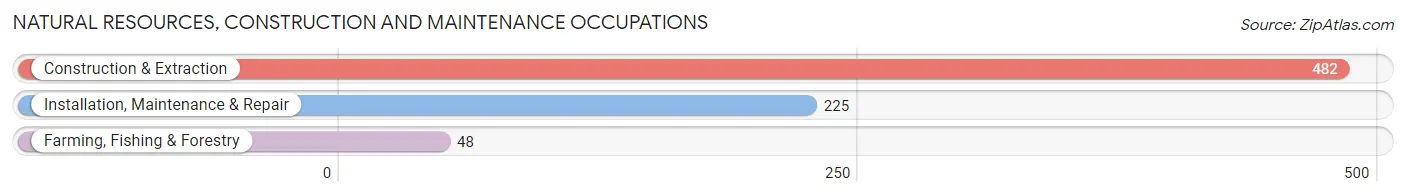 Natural Resources, Construction and Maintenance Occupations in Zip Code 80903