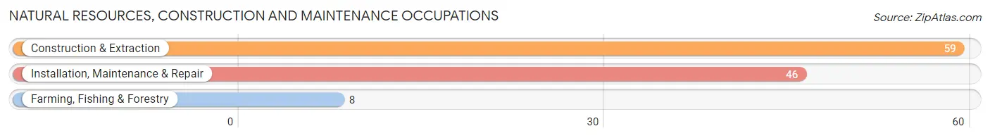 Natural Resources, Construction and Maintenance Occupations in Zip Code 80913