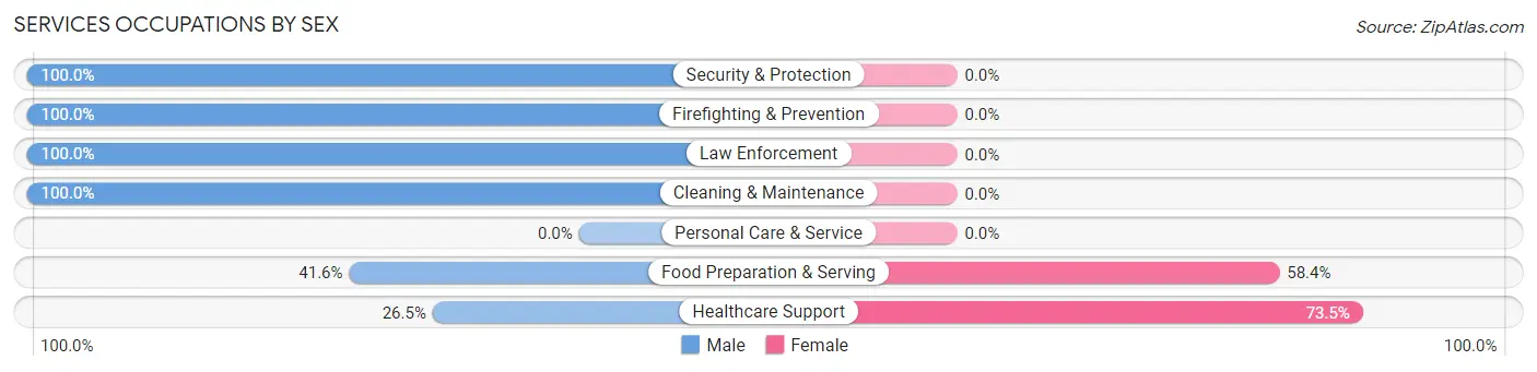 Services Occupations by Sex in Zip Code 80925