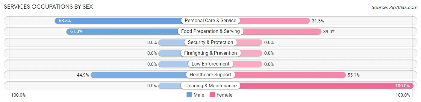 Services Occupations by Sex in Zip Code 80951