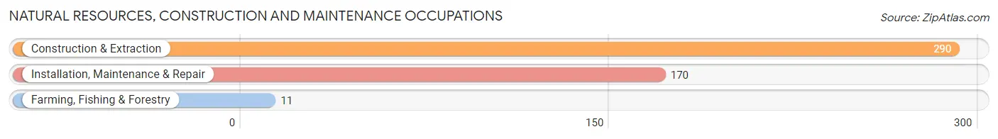 Natural Resources, Construction and Maintenance Occupations in Zip Code 81003