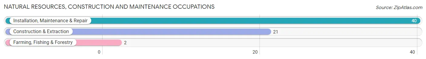 Natural Resources, Construction and Maintenance Occupations in Zip Code 81020