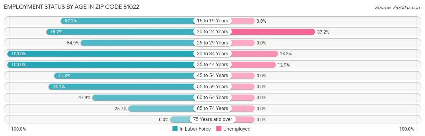 Employment Status by Age in Zip Code 81022