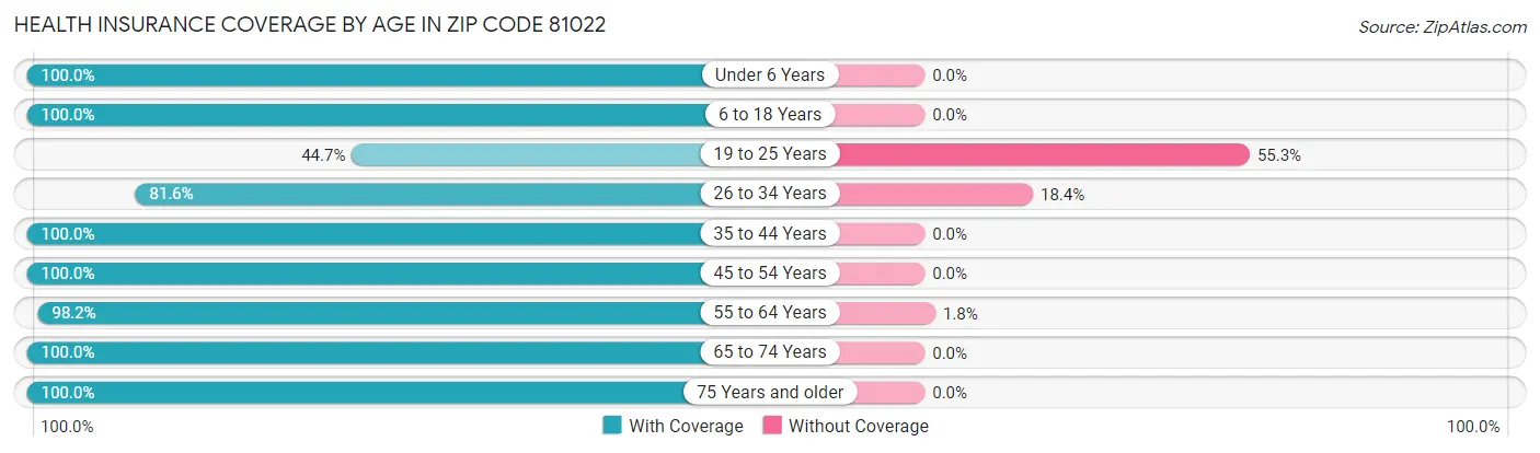 Health Insurance Coverage by Age in Zip Code 81022