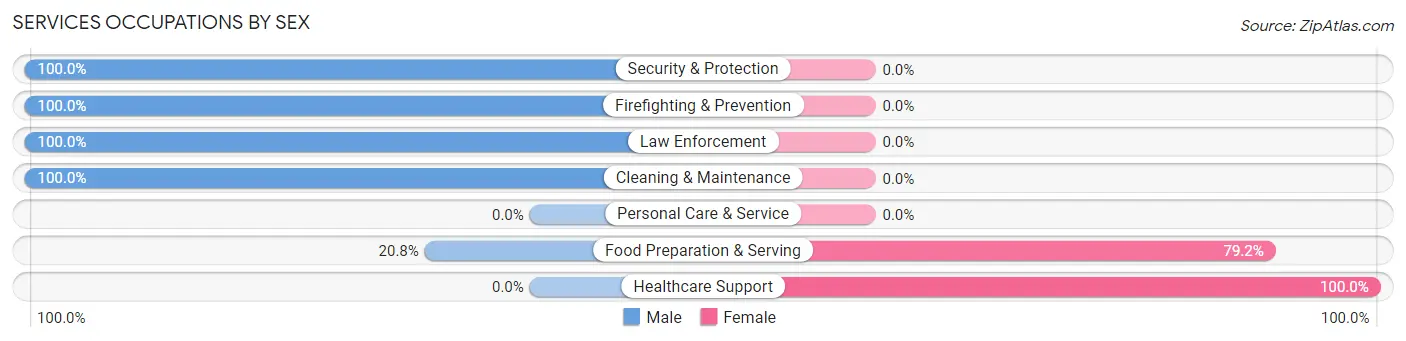 Services Occupations by Sex in Zip Code 81022