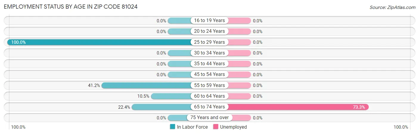 Employment Status by Age in Zip Code 81024