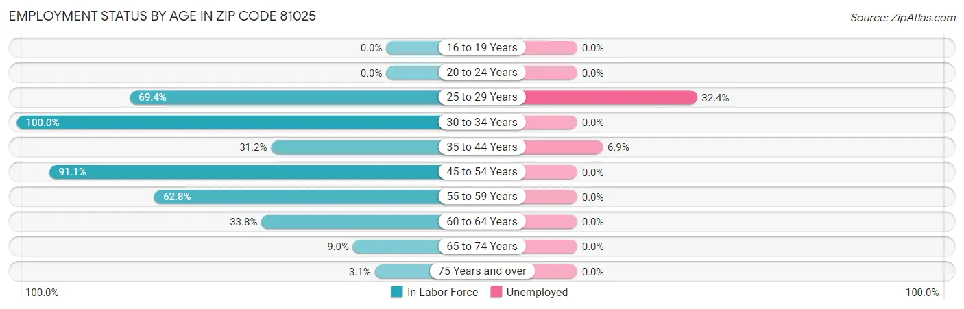 Employment Status by Age in Zip Code 81025