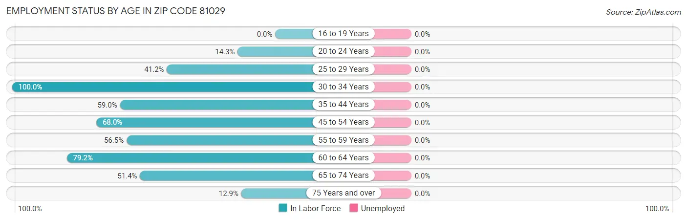 Employment Status by Age in Zip Code 81029