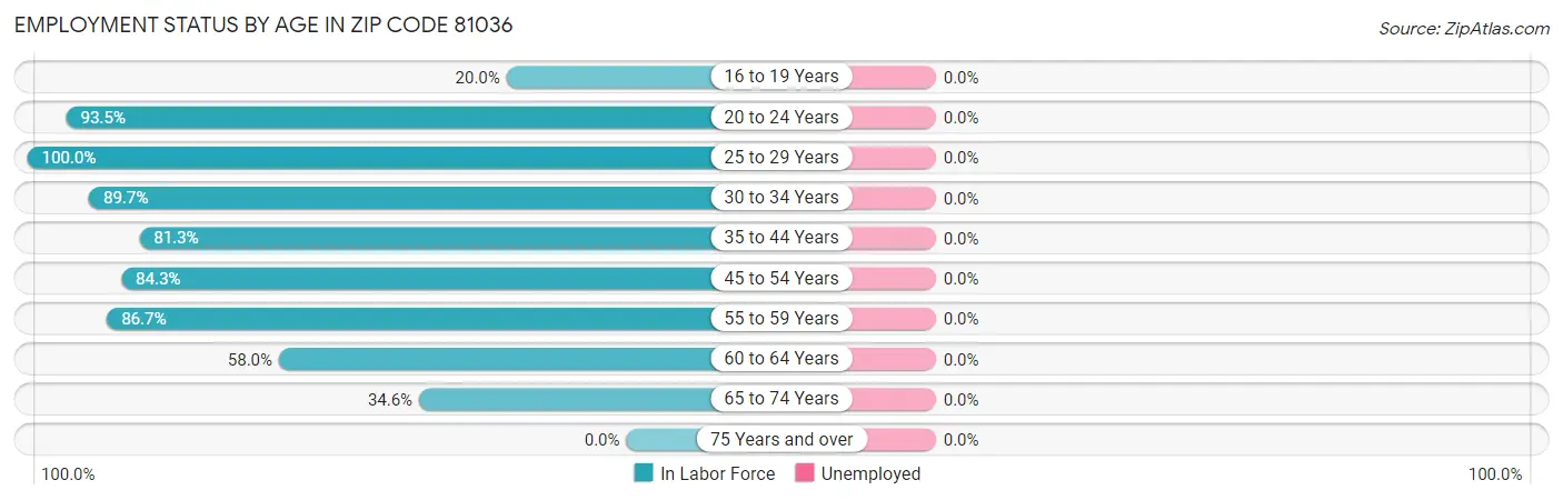Employment Status by Age in Zip Code 81036