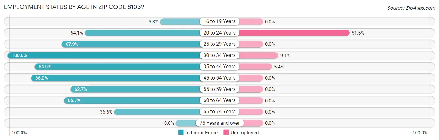 Employment Status by Age in Zip Code 81039