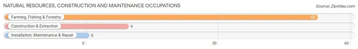 Natural Resources, Construction and Maintenance Occupations in Zip Code 81041