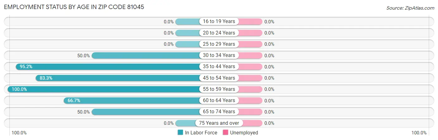 Employment Status by Age in Zip Code 81045