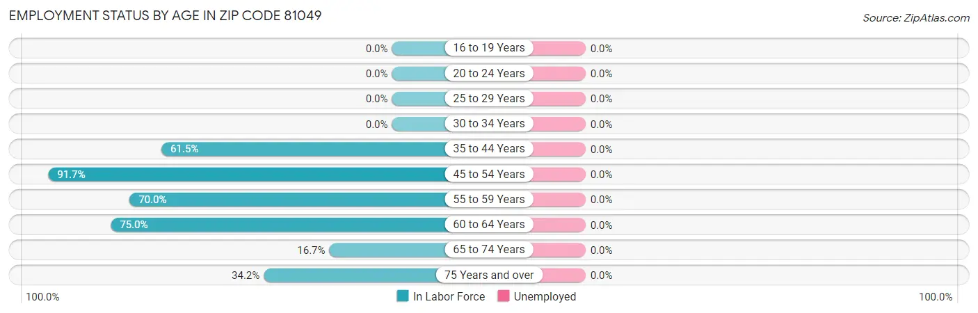 Employment Status by Age in Zip Code 81049