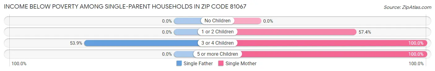 Income Below Poverty Among Single-Parent Households in Zip Code 81067
